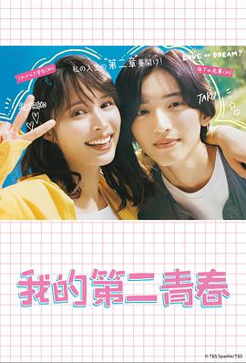 温州seo哪家质量好点